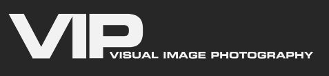 VIP LOGO